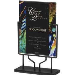 Selection of Acrylic awards 
