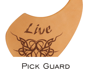 pick guard